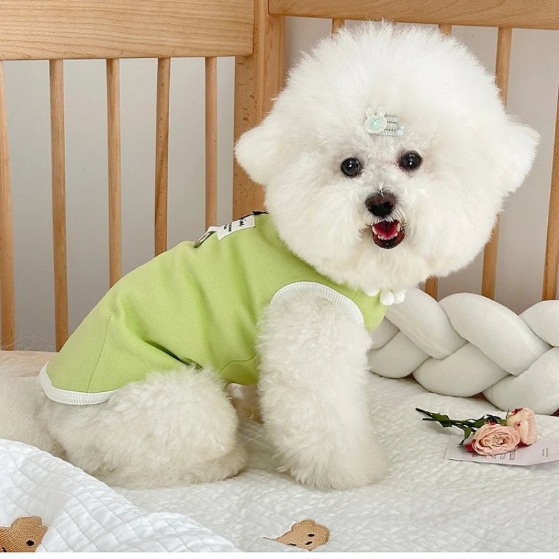 Cute Pet Spring and Autumn Base Shirt Dog Half High Collar Cat Home T-shirt Compared To Bear Teddy Schnauzer Small Dog Hoodie view 2