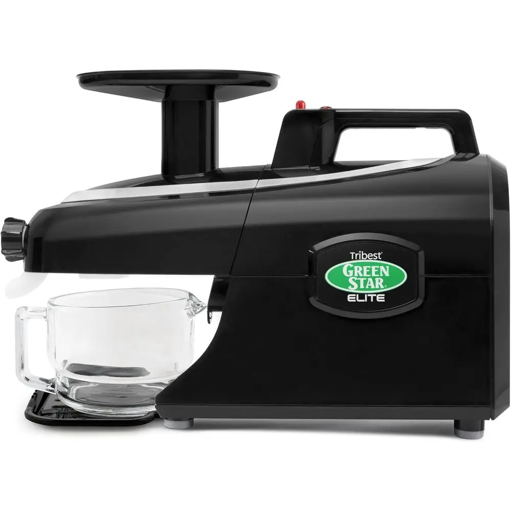 

Соковыжималка Twin Gear Cold Press Juicer Elite, черная модель