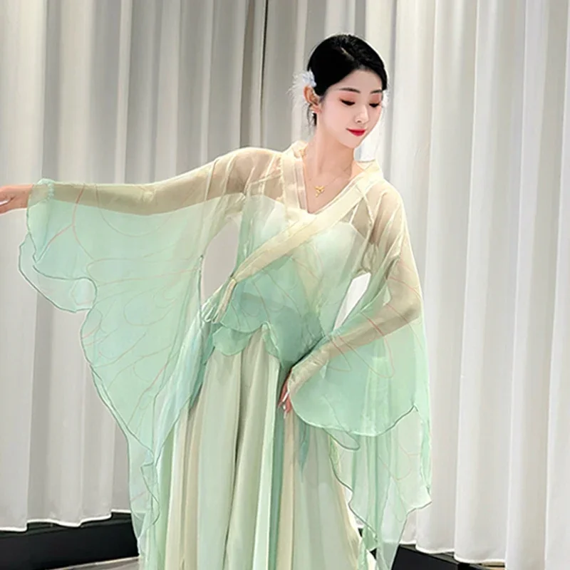 Classical Dance Costume Female Butterfly Dancing Dress Chinese Classic Dance Elegant Mesh Performance Wear