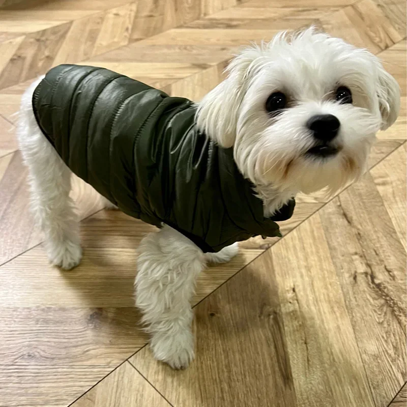 Pet Warm Winter Clothes Puppy Soft Jacket Dog Vest for Small Dogs Kitten Coat Chihuahua French Bulldog Outfits Yorkie Costumes