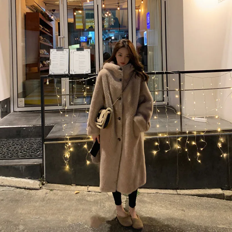 2025 New Fashionable Spring Winter Hairy Shaggy Soft Thick Warm Faux Fur Coat Women with Hood Fluffy Jacket Clothes 2025 Wh26