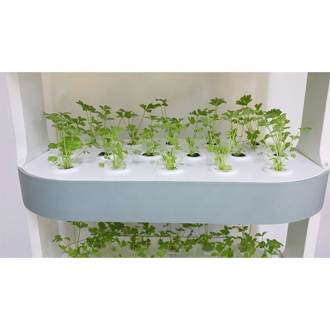 2023  3 tier new  Household hydroponic system for growing vegetables and home decoration