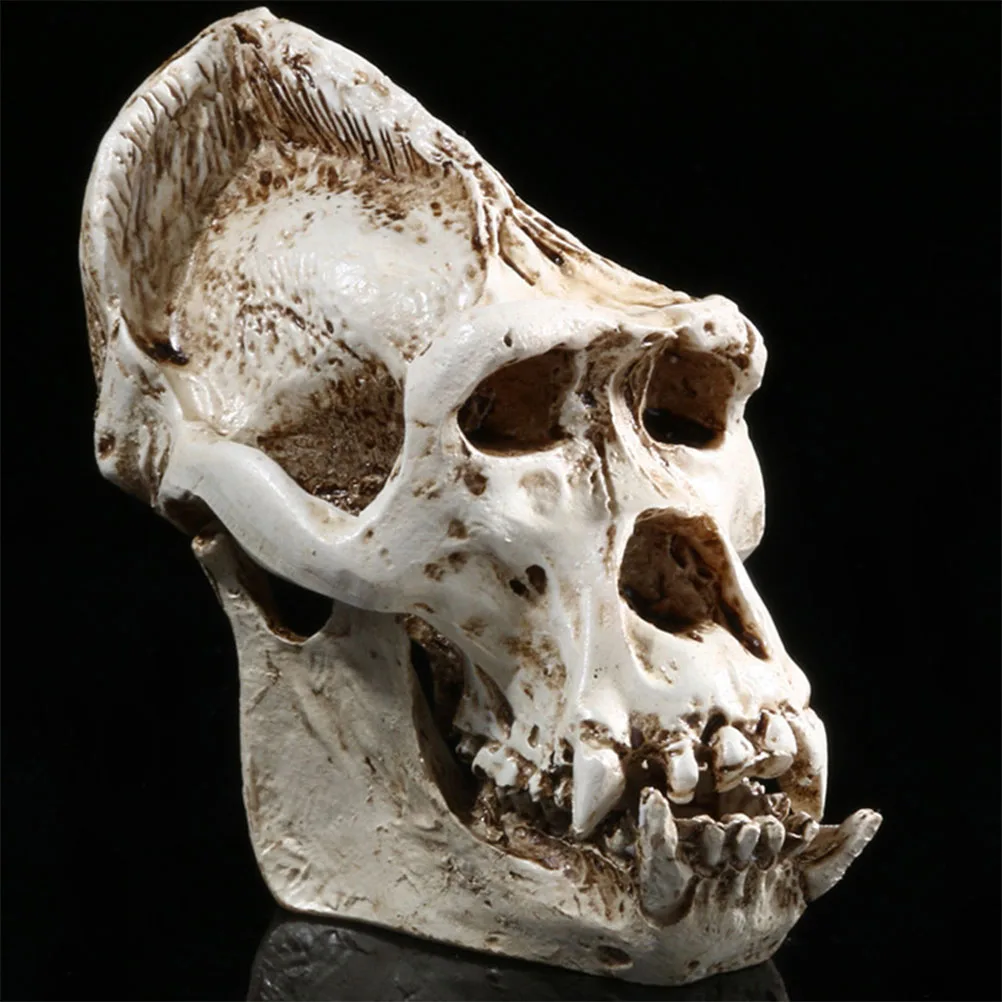 

1pc Skull Head Resin Ornament Creative Horror Desktop Sculpture For Home Office Party Decor Mysterious Spooky Atmosphere