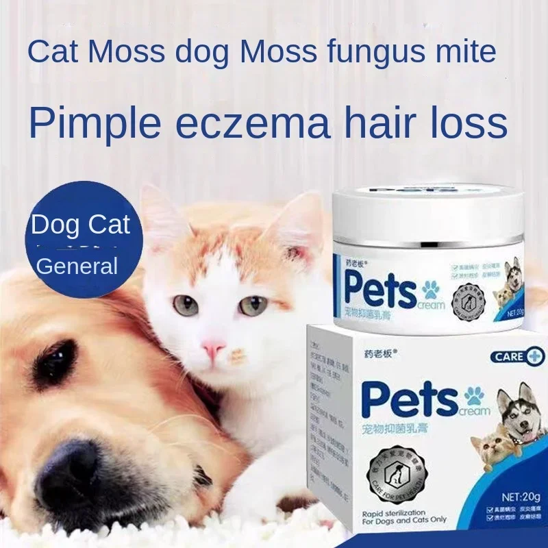 infeccion-por-hongos-musgo-en-la-piel-musgo-en-gatos-acaros-perdida-de-pelo-musgo-en-perros-picazon-en-la-piel-eccema-costras-en-gatos-y-perros