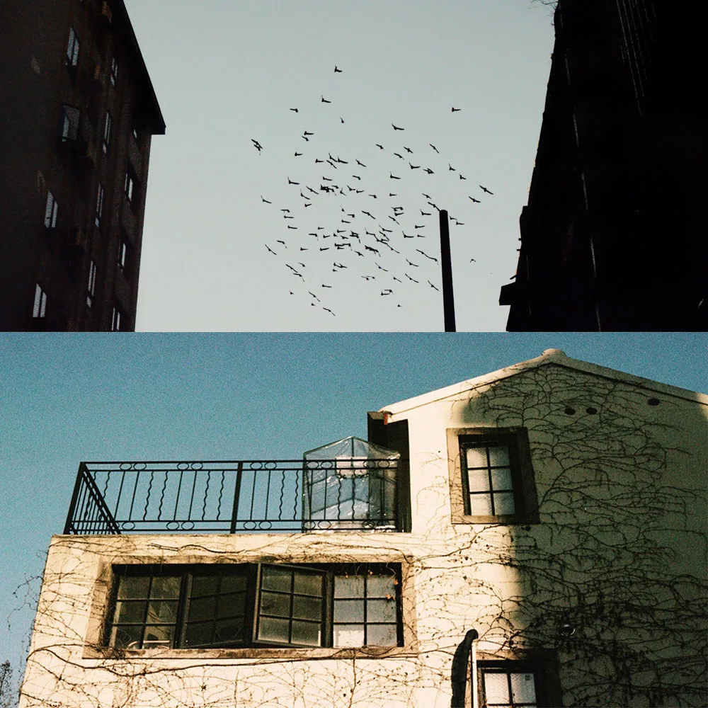 35 مللي متر فيلم Shenguang اللون 135 فيلم صورة مشهد Omnibus 400 درجة 36 Exp لكل/لفة في المخزون (فترة الصالحة: 2026.03)