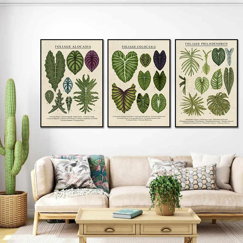 Arte de pared de hojas, follaje, Colocasia, plantas de Alocasia, carteles HD, pintura en lienzo e impresiones para sala de estar, decoración del hogar, regalos sin marco