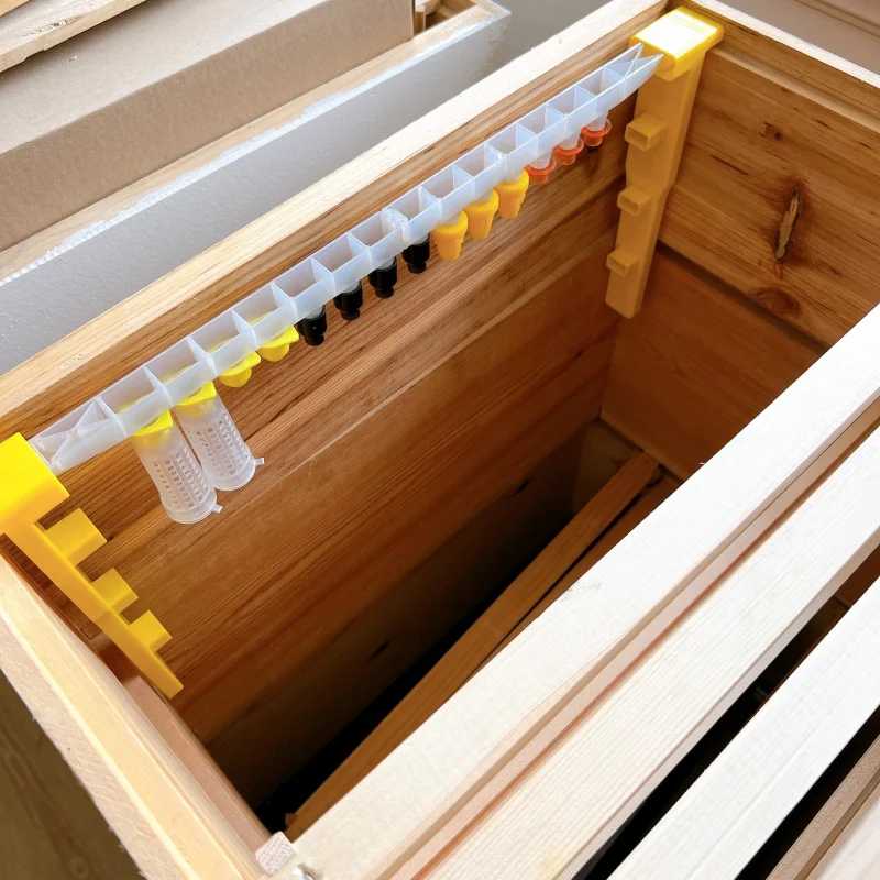 Detachable Queen Rearing Kit with Cell Bars, Protective Cages & No-Graft System, Beekeeping Supplies for Raising Queen Bees