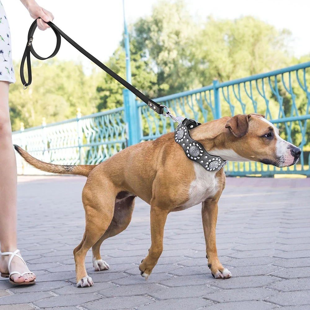 5ft/150cm Genuine Leather Dog Leash Soft Pet Training Leash Rope for Pitbull German Shepherd Small Medium Large Dogs Black Brown