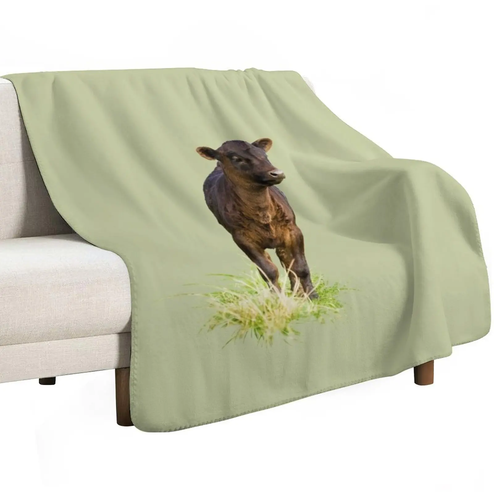 Standing Dexter Cow Throw Blanket Sofa Quilt Loose sofa bed Nap Thermal Flannels Blankets