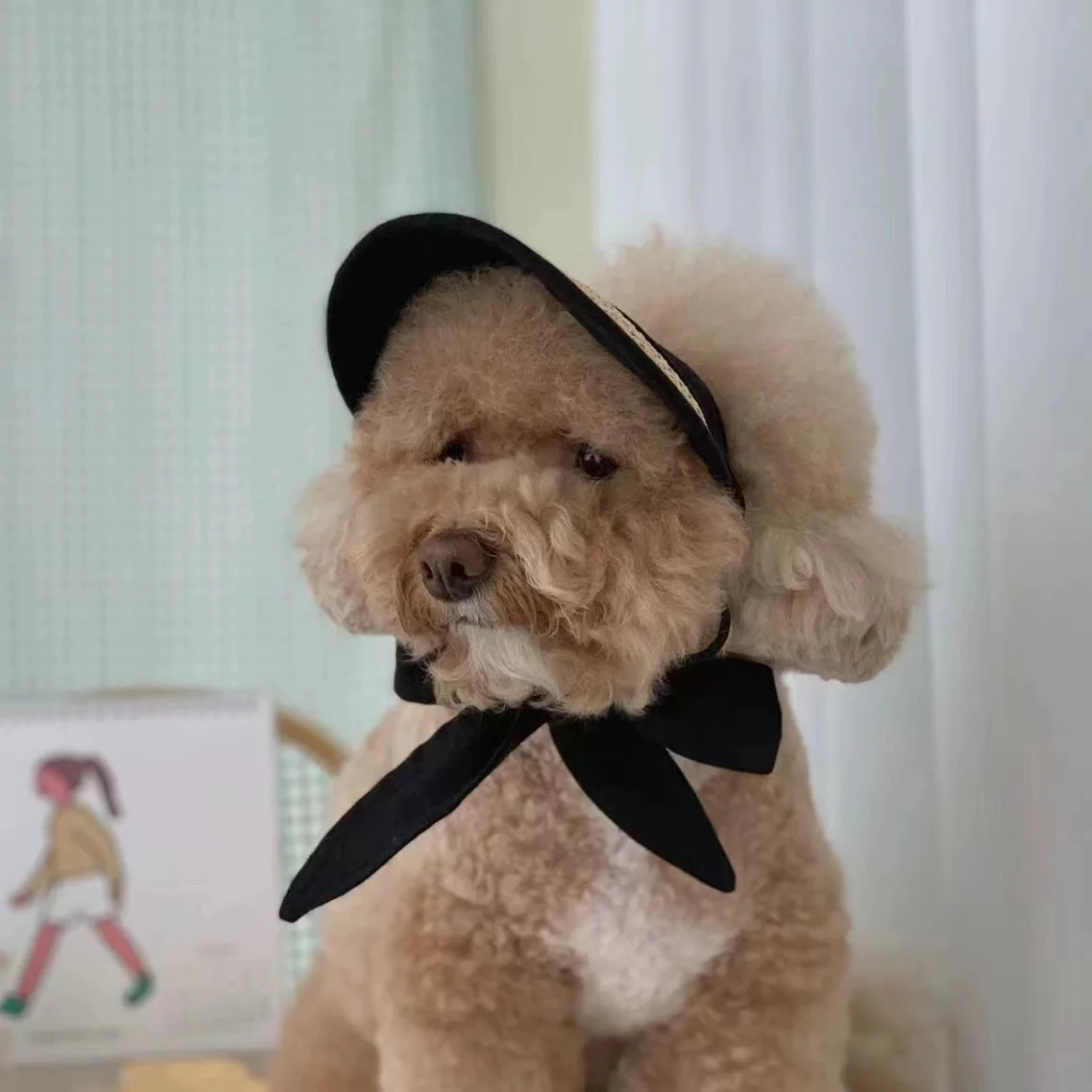 New Pet Straw Hat Cat Pet Dog Hats Small Dog Teddy Dog Sun Protection and Sunshade Hats Countryside Style Decorative Hat