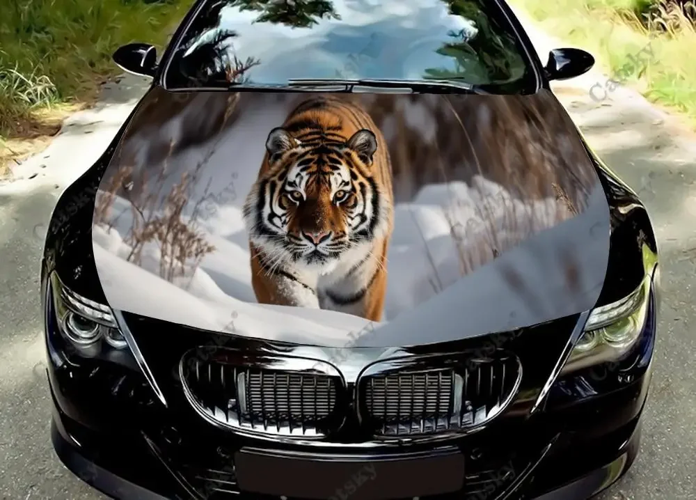 

Tiger With Wintry Landscape Car Hood Decal Truck Decals Vinyl Sticker Graphic Wrap Stickers Trucks Cars Bonnet Vinyls