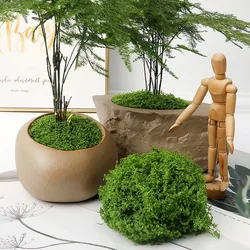 30/50/100g Eternal Life Moss DIY Crafts Grass Artificial Green Plants Home Room Garden Decor Mini Landscape Fake Grass