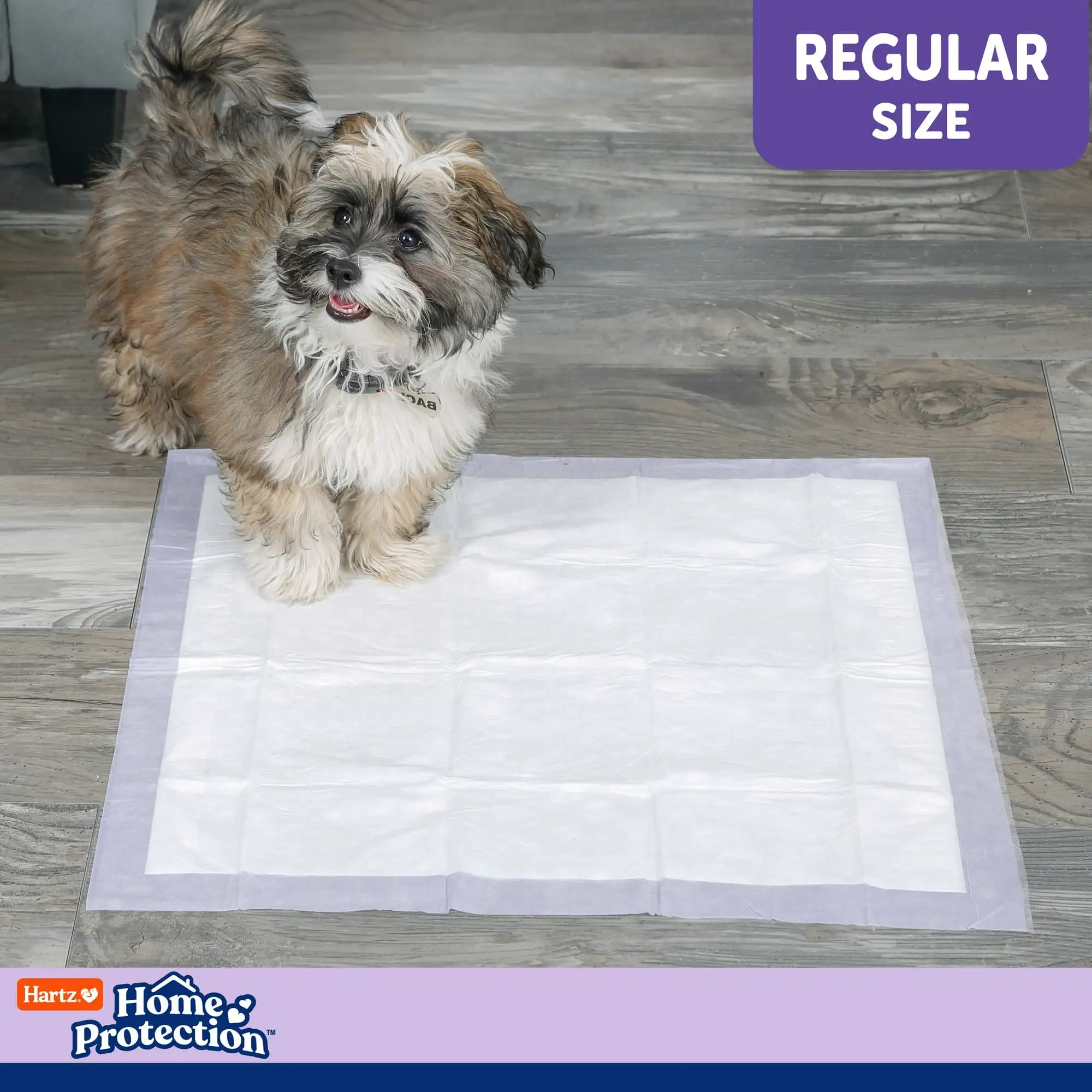 

Protection Lavender Scent Odor-Eliminating Dog Pads, Regular Size, 21 in x 21 in, 50ct