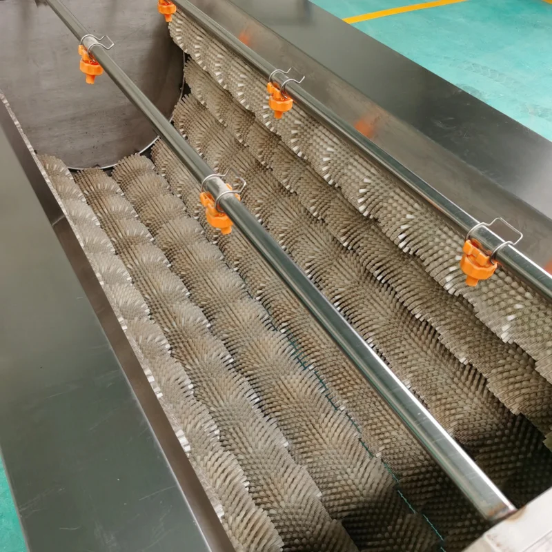 

Fruit and Vegetable Brush Washer Cleaning Machine/Onion Washing Brushing Machine Fruit Washer Price