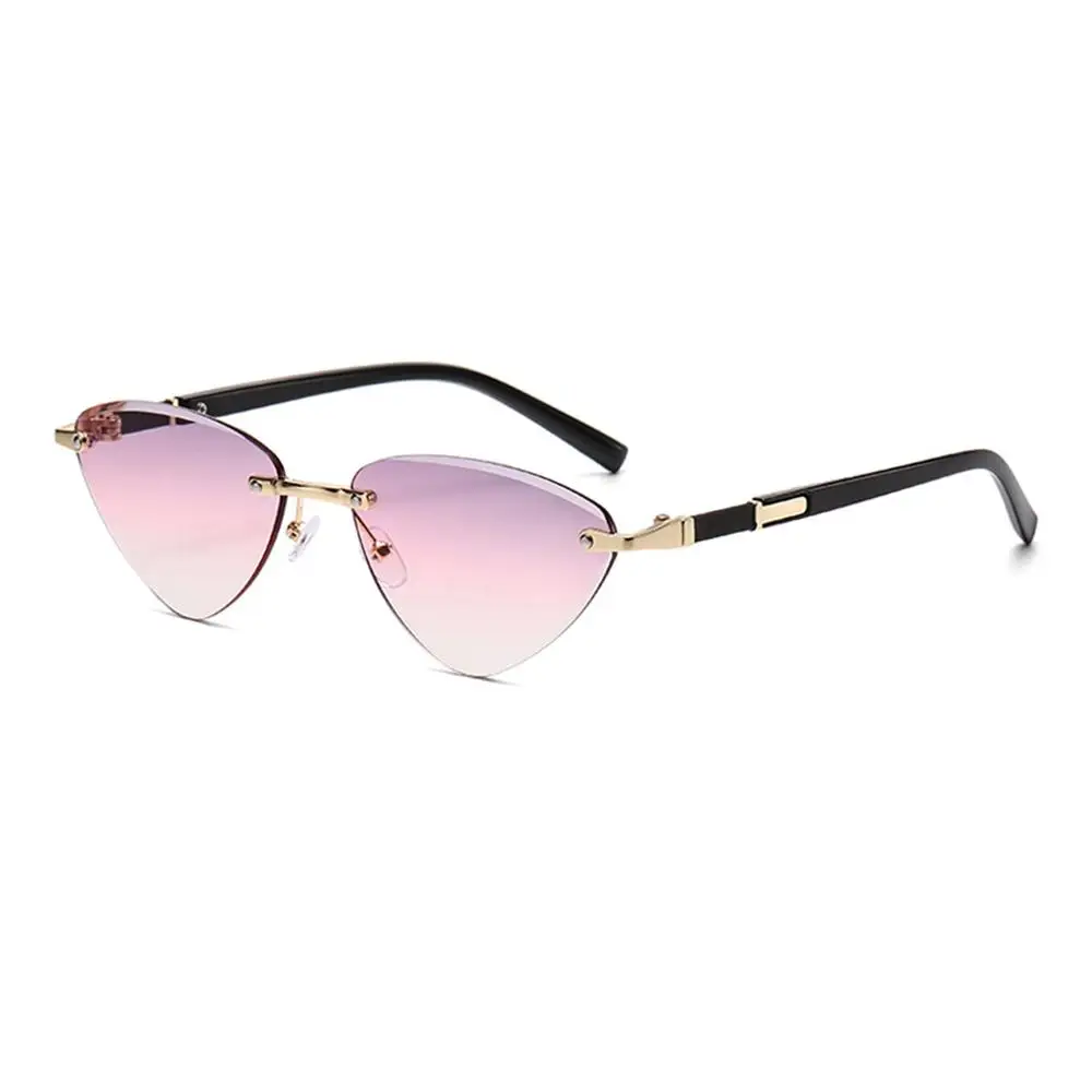 Retro Triangular Cat Eye Sunglasses Punk Cut-Edge Unique Temples Shades UV400 Protection Hip-Hop Sun Glasses Unisex