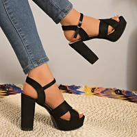 Summer New Versatile One Buckle Open Toe Sandals Women's Block Heel Platform Heels - Image 3