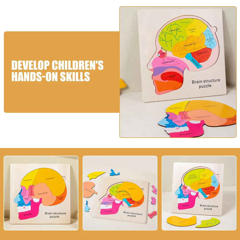 1Set Brain Structure Puzzle Wooden Matching Set Hands-on Education Cognitive Development Brain Learning Puzzle for Children