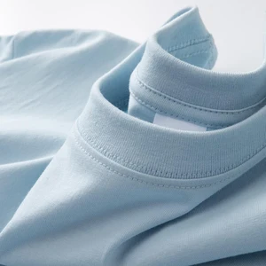 تي شيرت للجنسين ثقيل الوزن ، قطن 100٪ ، تي شيرت ممتاز كبير الحجم للرجال ، تي شيرت أساسي ، 250 جم / م² ، بالجملة ، بكميات كبيرة أعلى 10 مبيعات للبيع بالجملة على القمصان ذات الحجم الكبير - No3