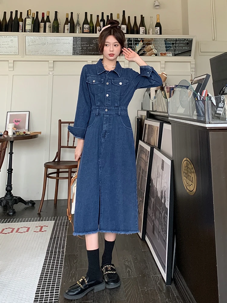 

Women Long Denim Dresses Female Lapel Collar Long Sleeve Large Size Elegant A Line Autumn ​Winter Single-breasted Blue Vestidos