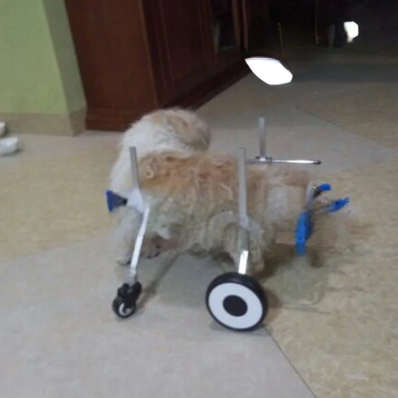 Ruedas para pasear perros, cochecito de entrenamiento para rehabilitación de perros, silla de ruedas con soporte ajustable para