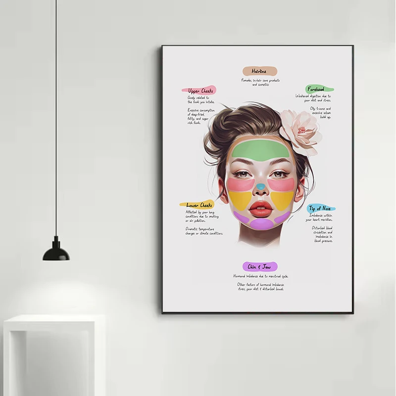 تشريح الوجه عضلات الوجه والفينز تجميل سبا صالون الطبية الجمالية المشارك حائط لوح رسم الفن صور ديكور المنزل هدية