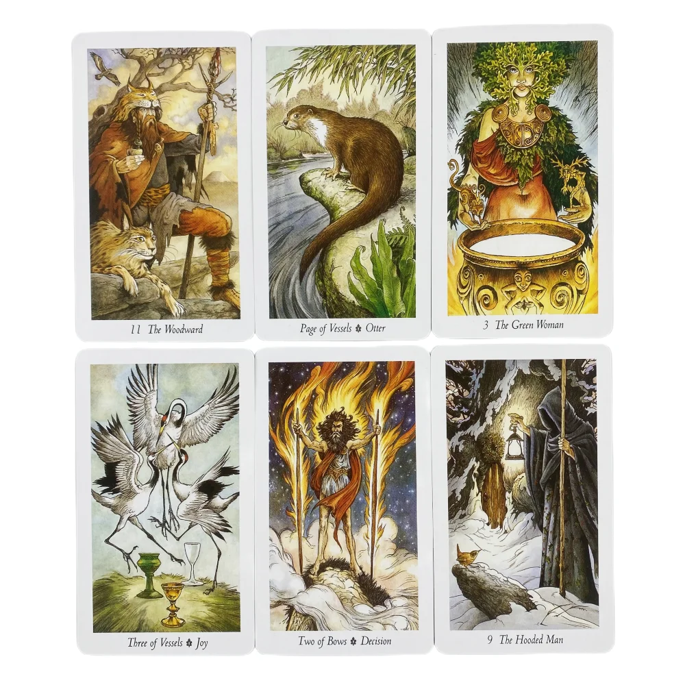 Karty Tarota Wild Wood, edycja – Board Game Wild Wild recenzja i cena