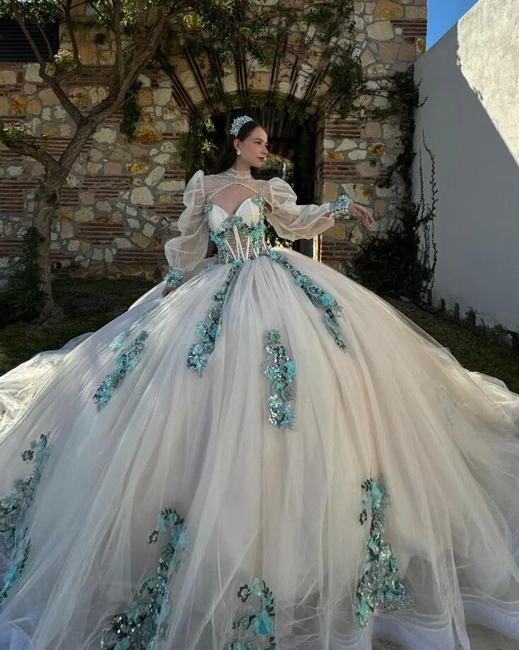 Vestidos de cristal princesa Quinceanera, manga comprida, apliques florais 3D, espartilho desossado, vestido 15 doces