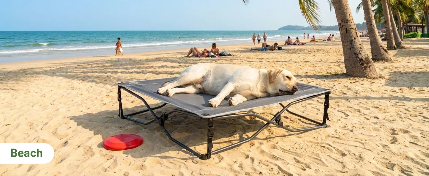 dog cot