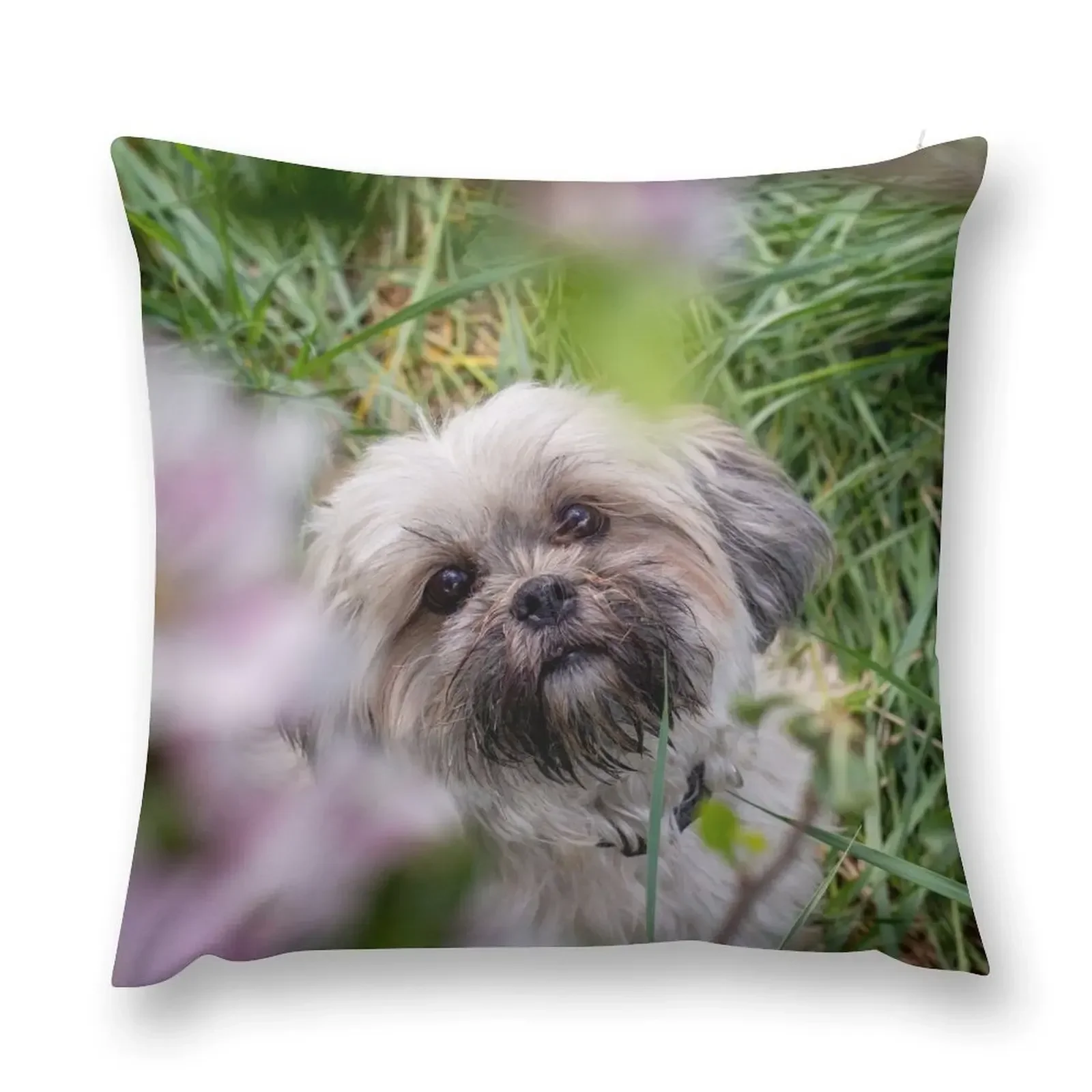 Lhasa apso dog in pink blossom Throw Pillow Sofa Cushion anime girl pillow