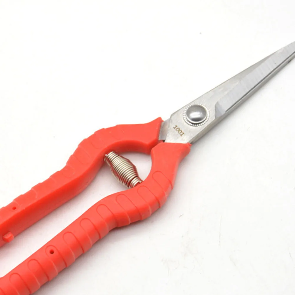 

25Pcs Garden Pruner Spring Stainless Steel Replacement for Pruning Shears Lightweight Portable Branch Trimmer Spring Parts