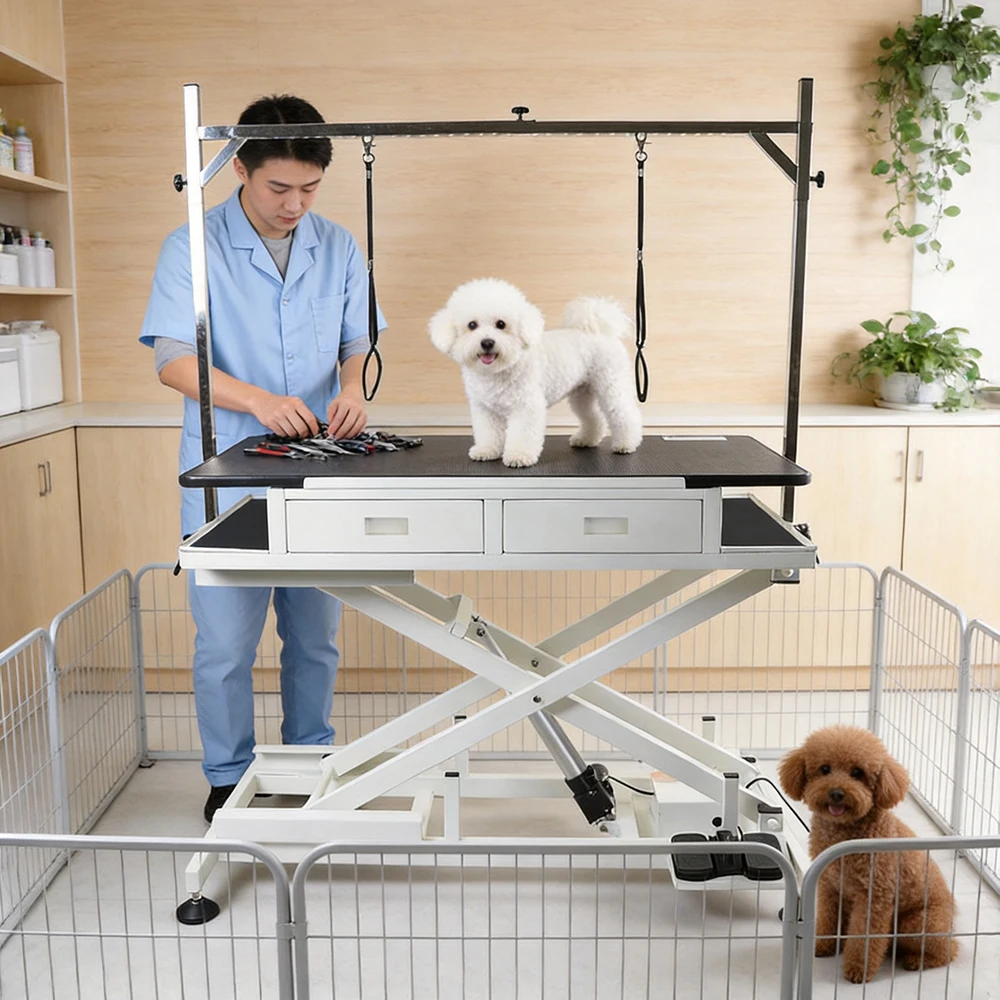 D103Pro Electric Lifting Table With Drawer And Washable Top