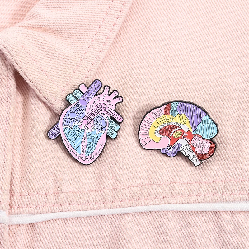 Beschriftetes Gehirn, Herz, Anatomie, Emaille-Anstecknadeln, menschliches Organ, medizinisches Modell, Broschen, Anstecknadel, Schmuck, Geschenke für medizinische Studenten, Freunde