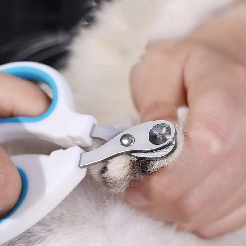 Cortauñas para cachorros, tijeras para garras de gato para perros, cortaúñas de belleza, tijeras para uñas de gato, cortador de uñas de conejo para mascotas GZJJ03