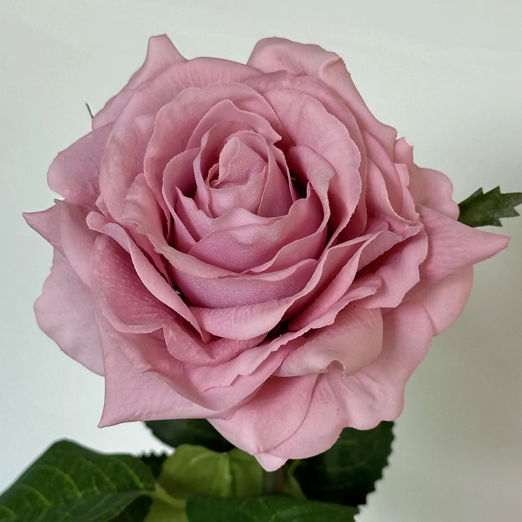 5Pcs Moisturizing Feel Rose Real Touch Artificial Flowers Wedding Decor Bridal Bouquet Fake Rose Flowers Party Home Table Decor