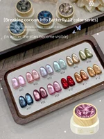 12g Gel magnético reflectante para ojos de gato Polsih, juego de 12 colores, barniz para remojar, Gel holográfico semipermanente para ojos de gato, arte de uñas