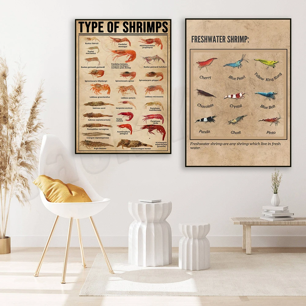 Species of shrimp retro poster, shrimp art, freshwater shrimp, aquarium shrimp, knowledge poster, educational wall decoration