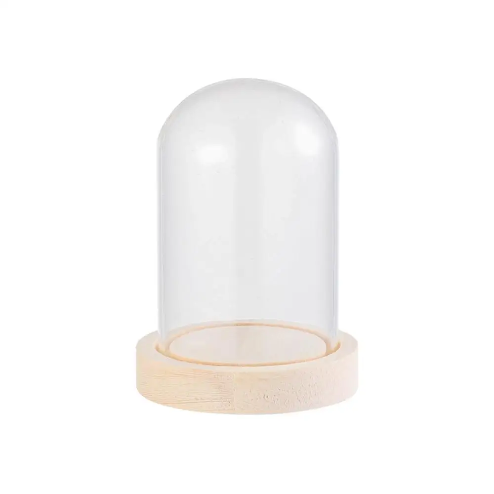 Dry Flower Glass Dust Cover Wooden Base Transparent Bottle Plants Fairy Lights Glass Vase Terrarium Tabletop Home Decor