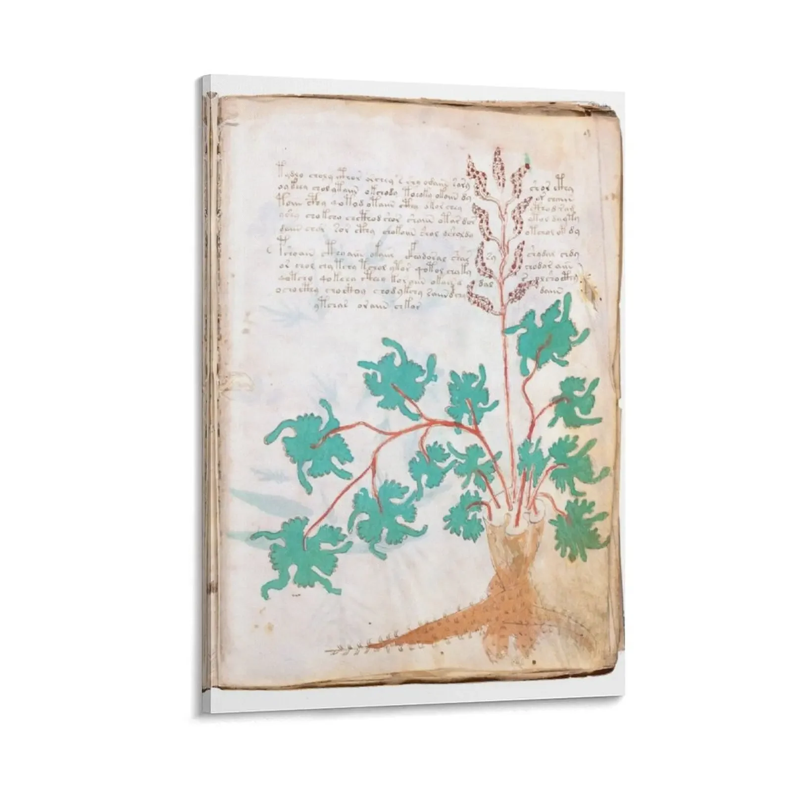 

Voynich Manuscript Canvas Painting vintage home decor bedrooms decor korean room decor