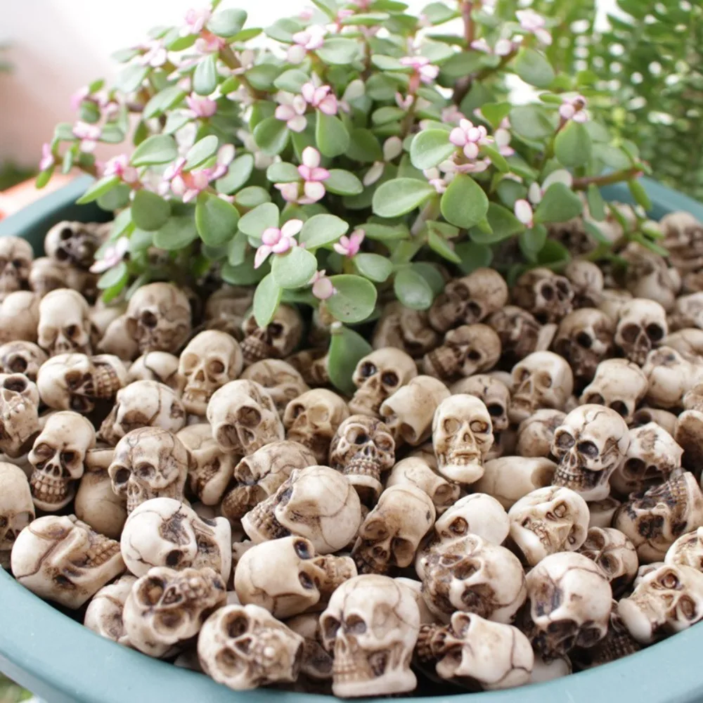 

20pcs Creative Flowerpot Decor Mini Skulls Decoration Props Realistic Skull Rocks Resin Landscape Decorative Rocks Garden