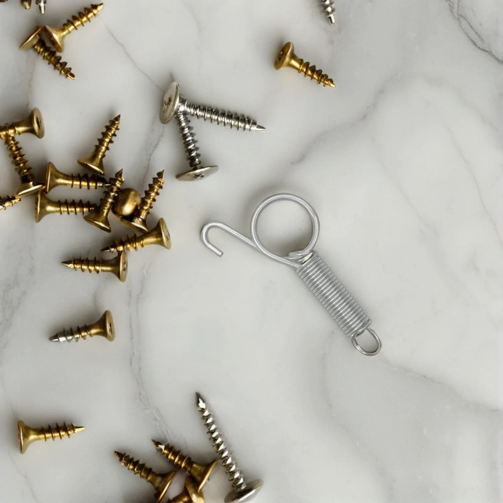 

12Pcs Portable Lightweight Pet Cage Spring Hooks Stainless Steel Easy to Use for Various Cages Spring Hooks Pet Cage Supplies