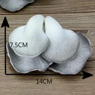 Restaurant Desktop Decoration Crafts, Pu Simulation Food, Mushroom Cabinet Model, Decorative Props, 2 Pcs per Lot image 3