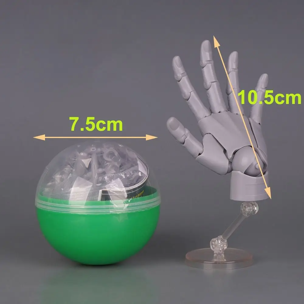 1:2 Scale Human Hand Model Mini Size Movable Joints Palm Model Twisted Egg Design With Posable Fingers Movable Finger Joints view 6