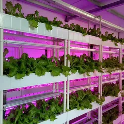 Hydroponics Growing System Garden Planting Tower With Full Spectrum  LED Lighs 4 Layers 56 Plants  Indoor Geenhouse Equipment