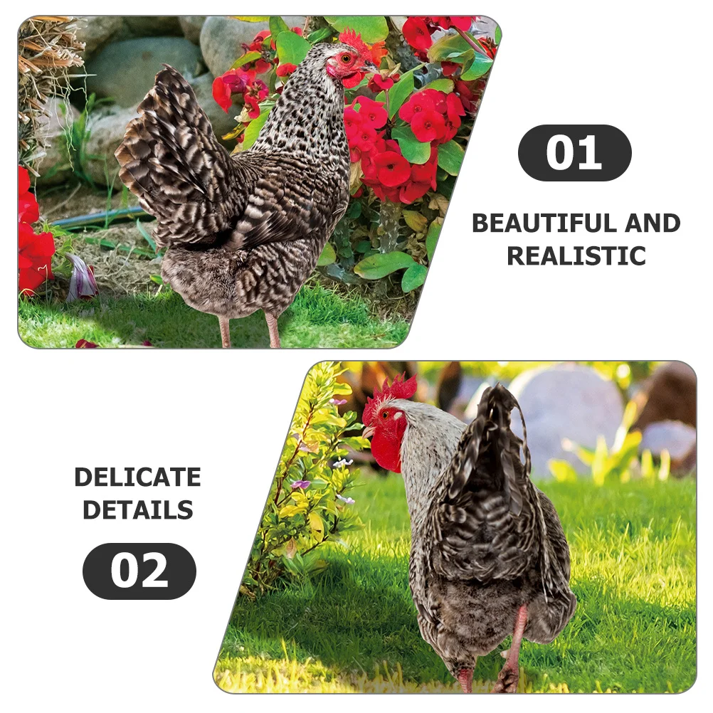

3Pcs Eye-Catching Chicken Yard Sign Insert Durable Acrylic Material Garden Lawn Decoration Adornment Garden Chicken Yard Sign