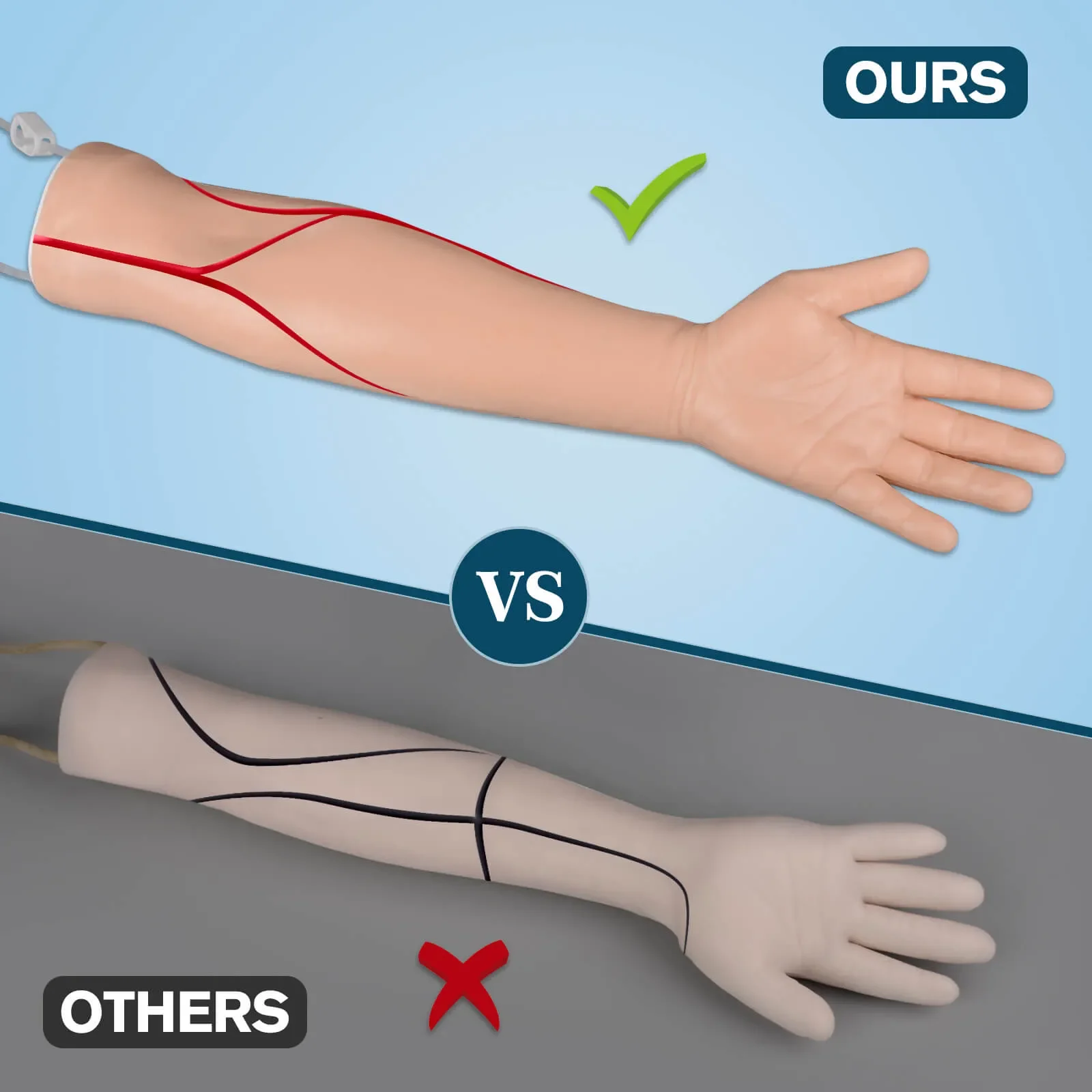 Adult Left Multi-Venous Venipuncture Arm Practice Kit with Metal Stand