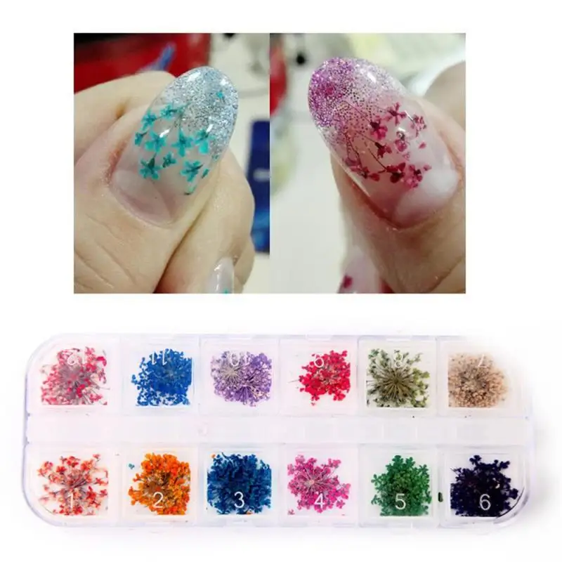 Flower Nail Art Decoration Real Mini Dried Blossom Stickers Natural Floral Charms Designs Manicure Nails Accessories