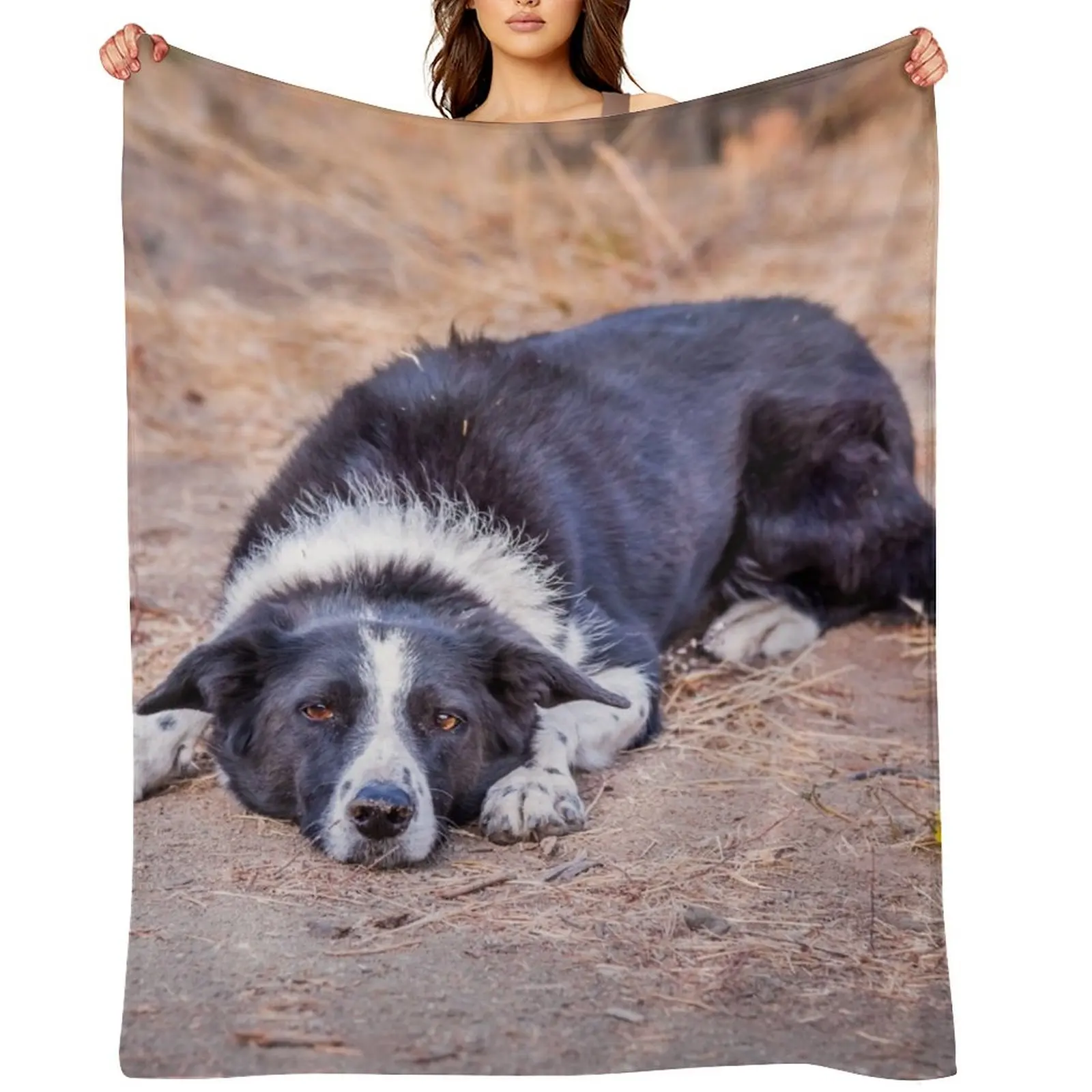 

Cute Border Collie Lying on Ground Throw Blanket Bed Kid'S Flannels for sofa Blankets