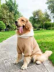 Dog Clothes Winter Golden Hair Labrador Border Collie Winter Thickened Warm Medium And Large Dog Autumn And Winter Clothes