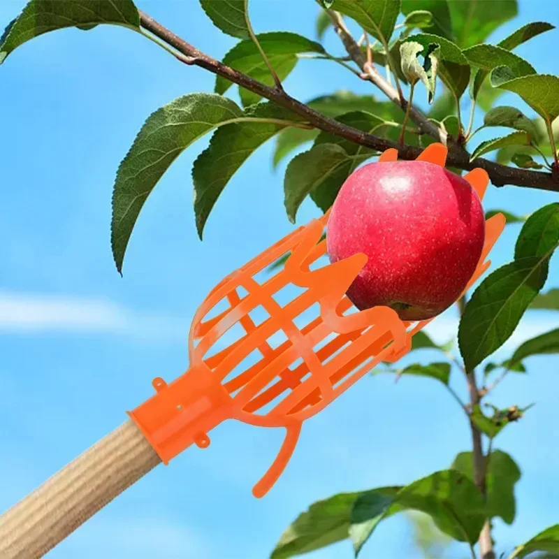 Plastic Telescopic Garden Basket Fruit Picker Head Fruit Picking Tool High-altitude Fruit Picker Picking Loquat Picking Bayberry