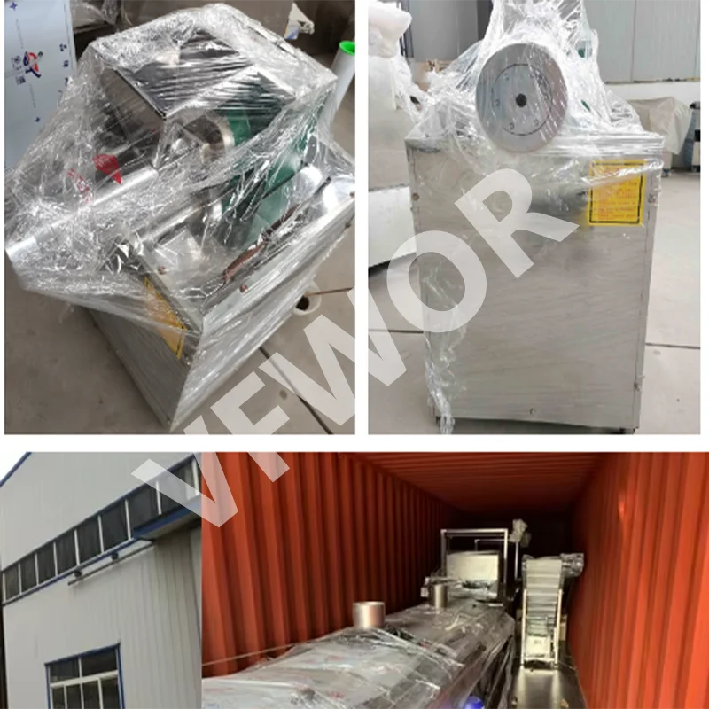 High Efficiency Commercial Pasta Machine One Machine Make Multiple Kinds Of Italian Noodles